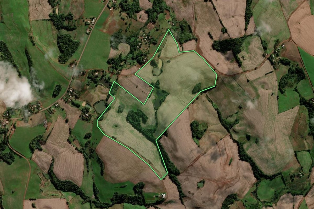 Imagem de satélite do imóvel rural em São José das Missões (RS), com o contorno declarado no CAR desenhado por cima.