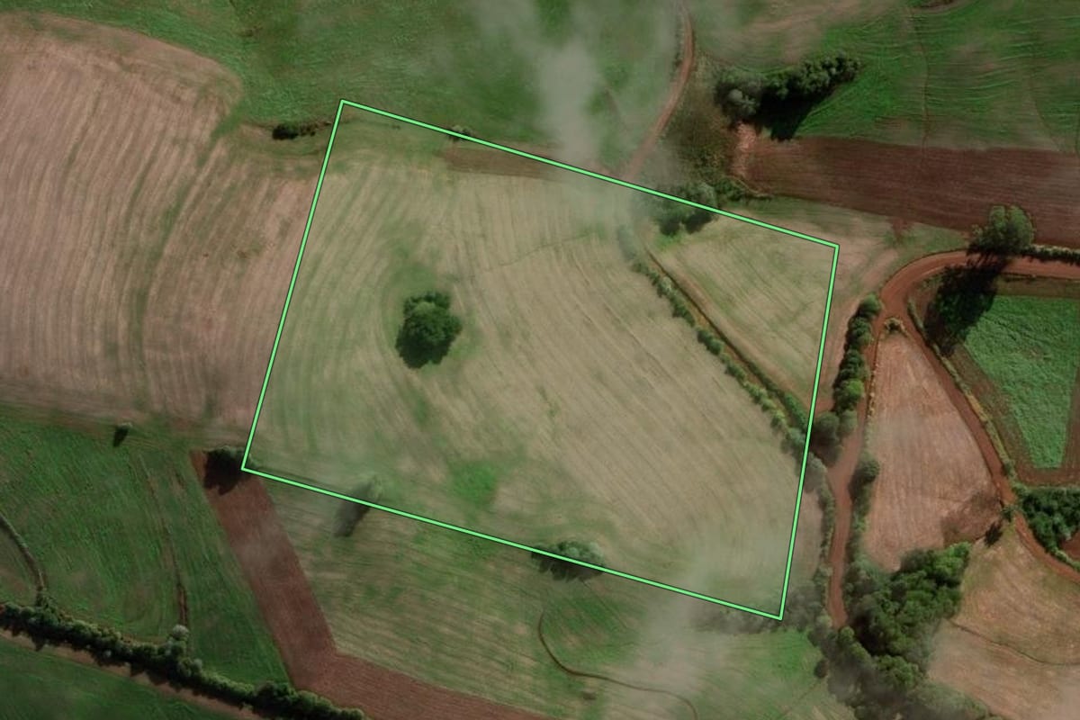 Imagem de satélite do imóvel rural em São José das Missões (RS), com o contorno declarado no CAR desenhado por cima.