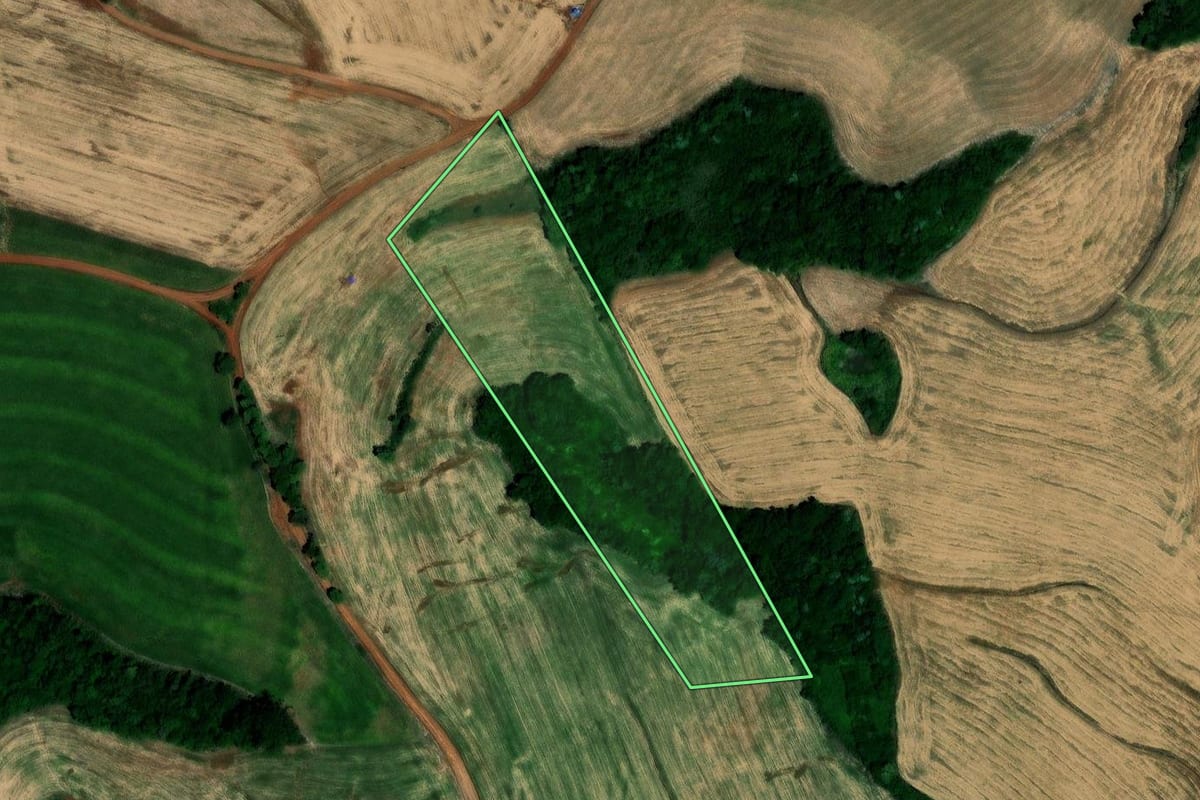 Imagem de satélite do imóvel rural em São José das Missões (RS), com o contorno declarado no CAR desenhado por cima.