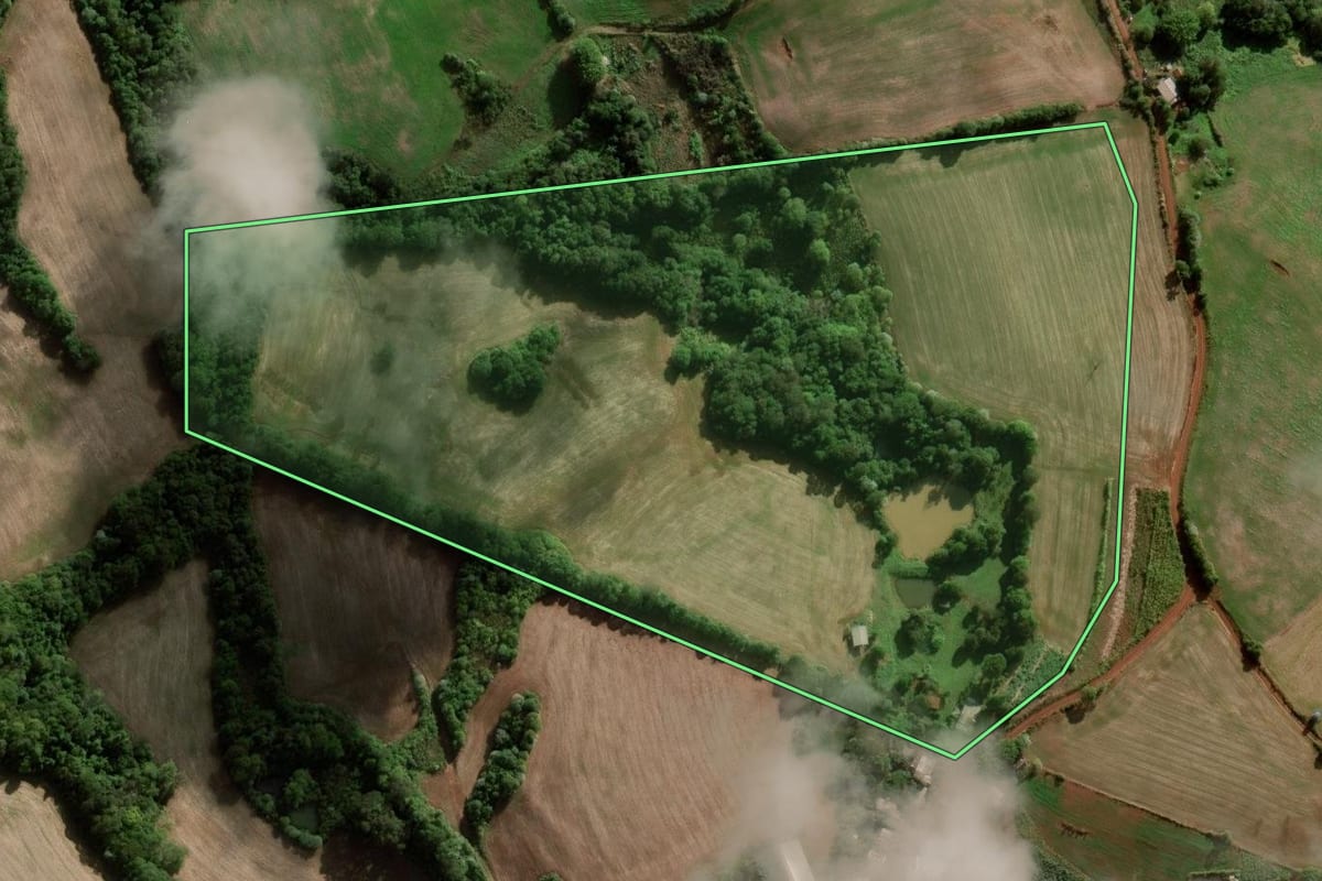 Imagem de satélite do imóvel rural em São José das Missões (RS), com o contorno declarado no CAR desenhado por cima.