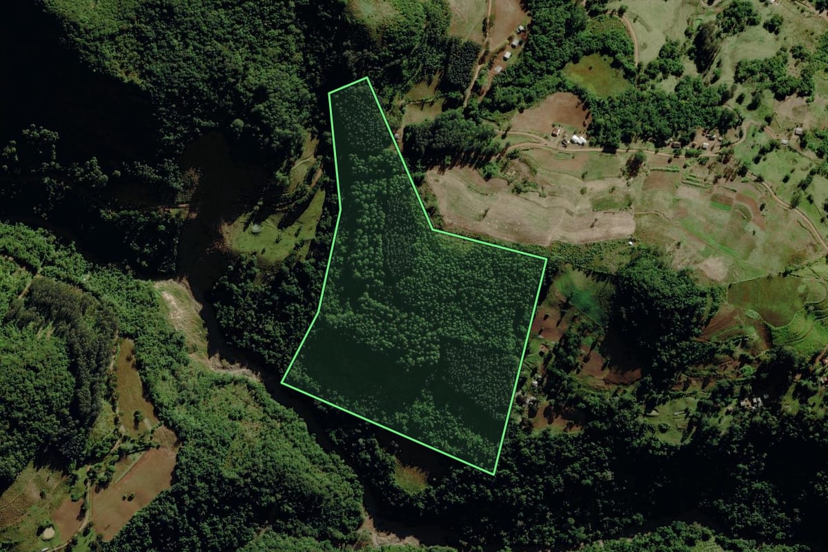 Imagem de satélite do imóvel rural em São José do Herval (RS), com o contorno declarado no CAR desenhado por cima.