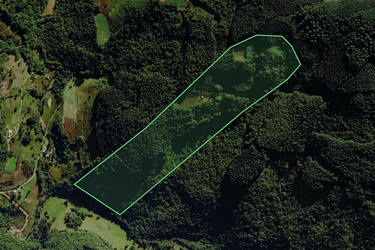 Imagem de satélite do imóvel rural em São José do Herval (RS), com o contorno declarado no CAR desenhado por cima.