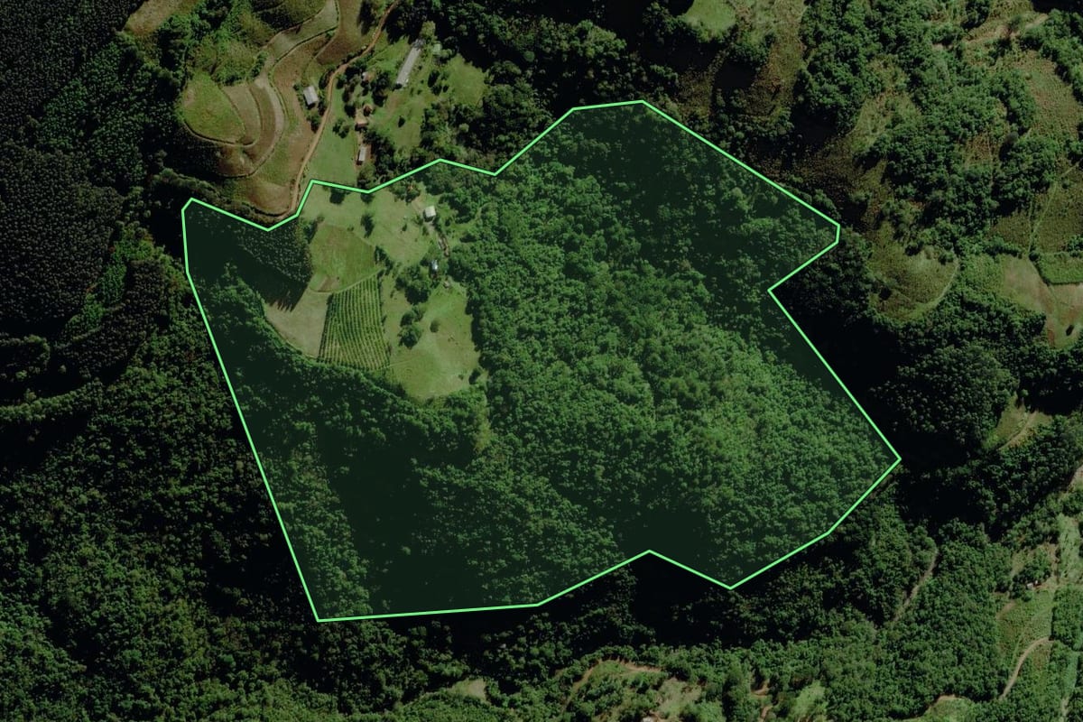 Imagem de satélite do imóvel rural em São José do Herval (RS), com o contorno declarado no CAR desenhado por cima.