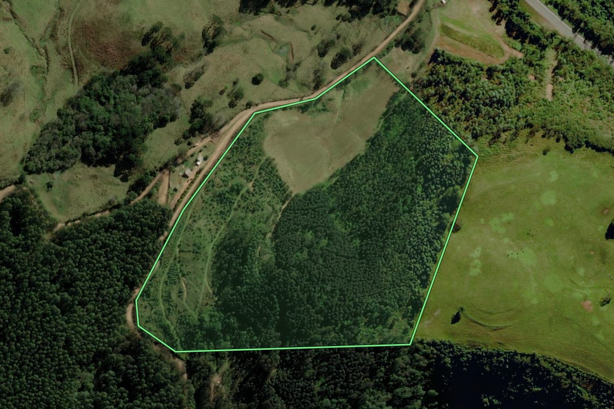 Imagem de satélite do imóvel rural em São José do Herval (RS), com o contorno declarado no CAR desenhado por cima.