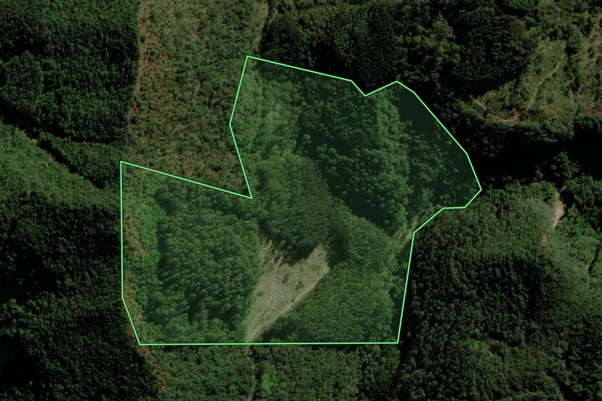 Imagem de satélite do imóvel rural em São José do Herval (RS), com o contorno declarado no CAR desenhado por cima.
