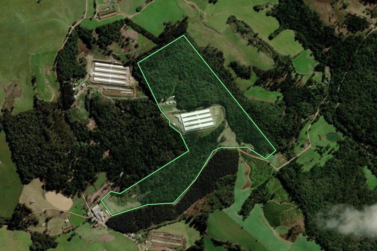 Imagem de satélite do imóvel rural em São José do Herval (RS), com o contorno declarado no CAR desenhado por cima.