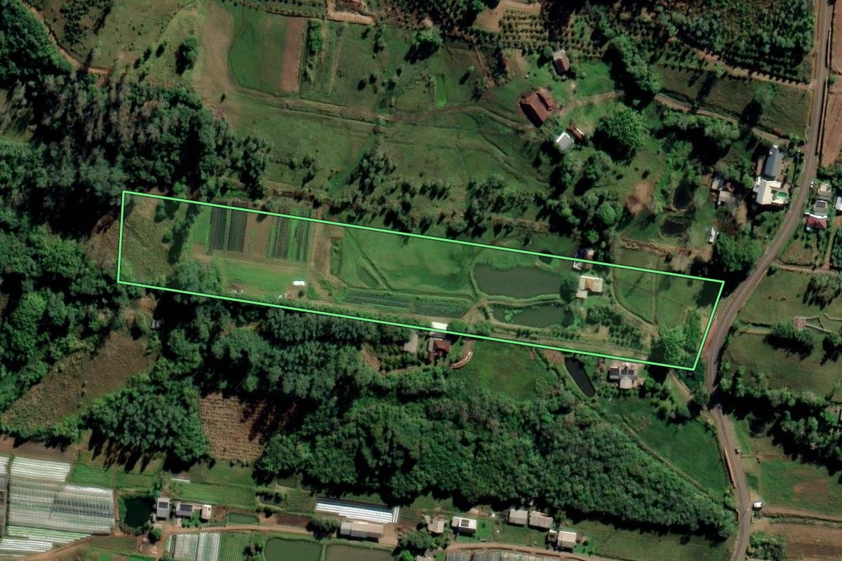 Imagem de satélite do imóvel rural em São José do Hortêncio (RS), com o contorno declarado no CAR desenhado por cima.