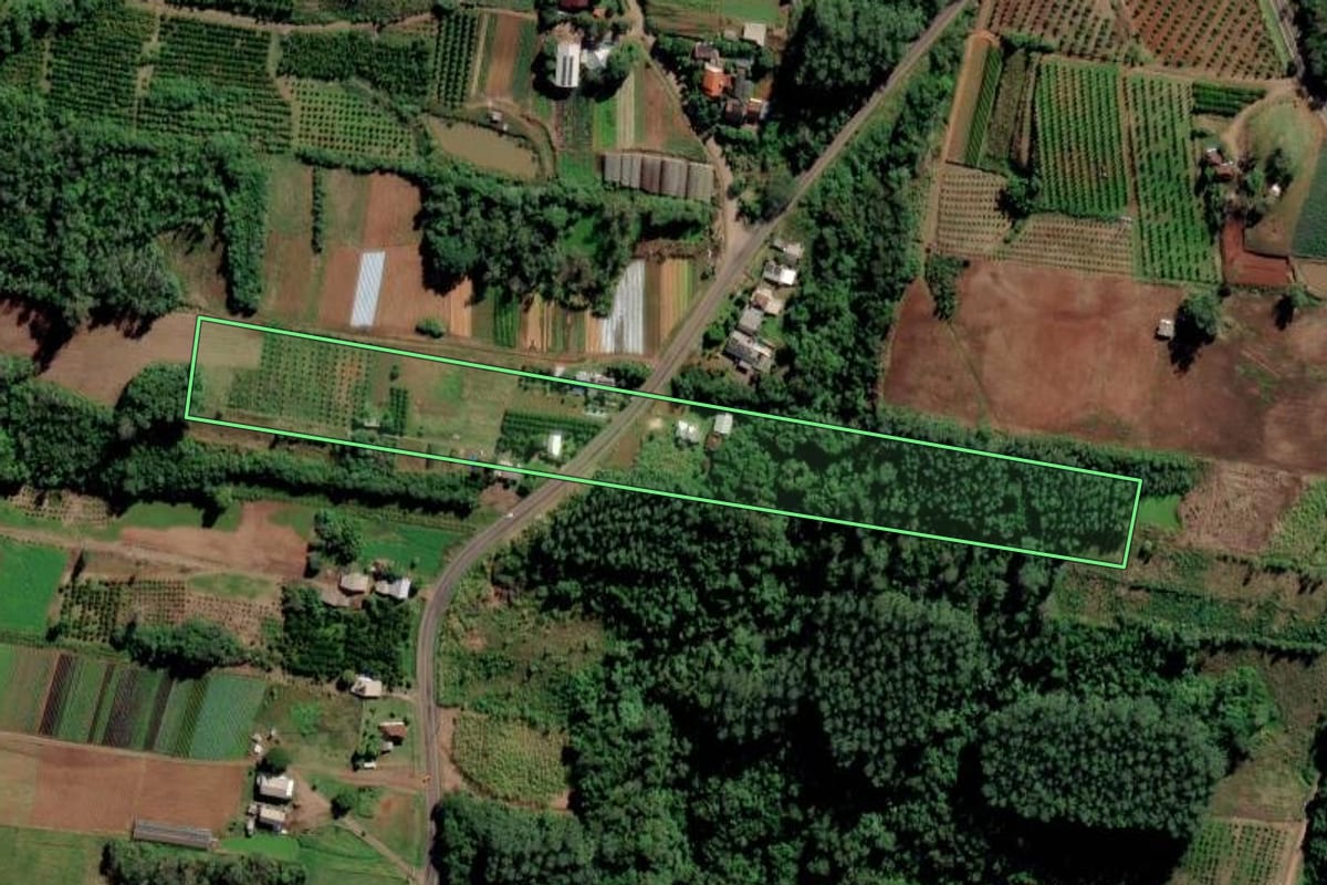 Imagem de satélite do imóvel rural em São José do Hortêncio (RS), com o contorno declarado no CAR desenhado por cima.
