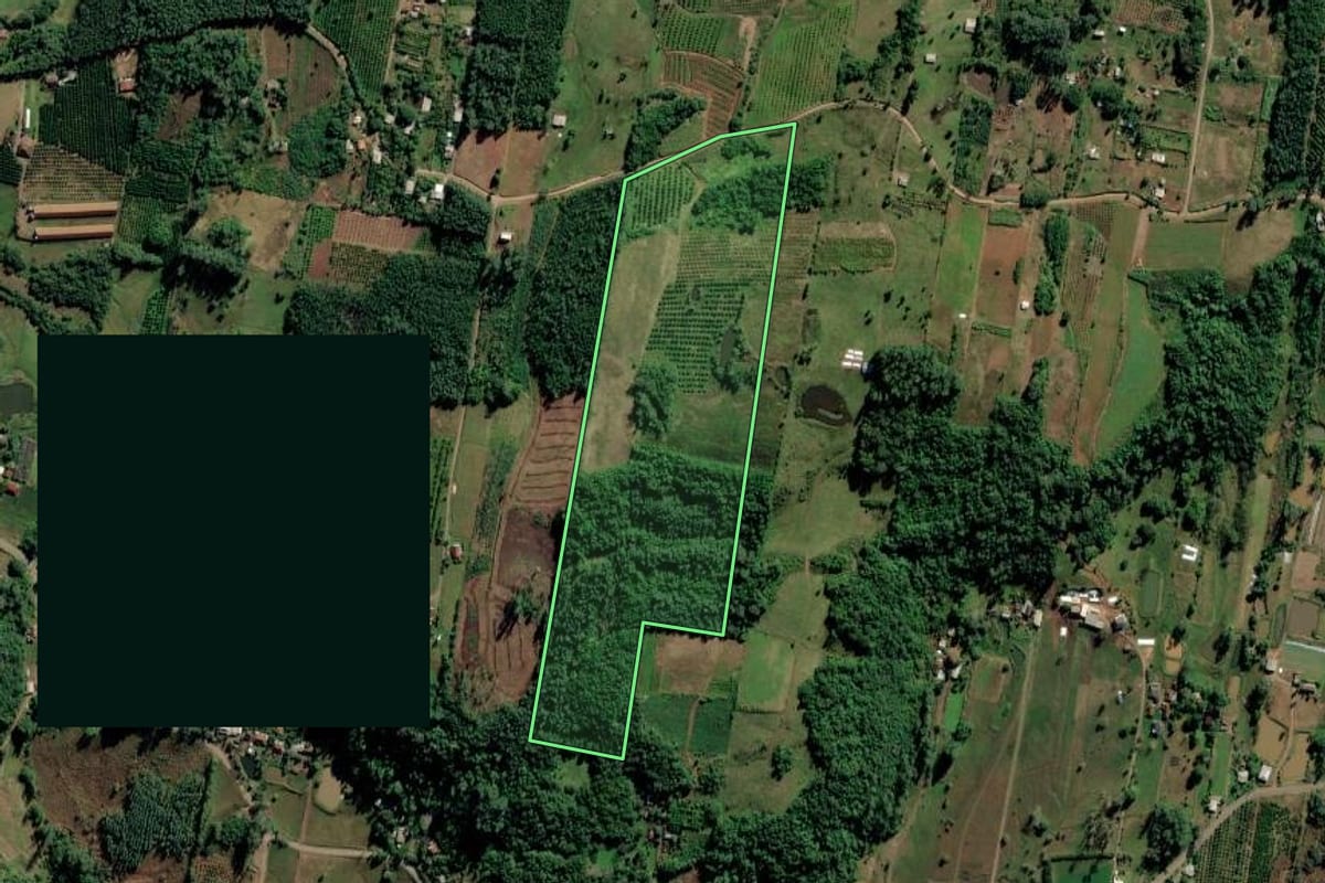 Imagem de satélite do imóvel rural em São José do Hortêncio (RS), com o contorno declarado no CAR desenhado por cima.