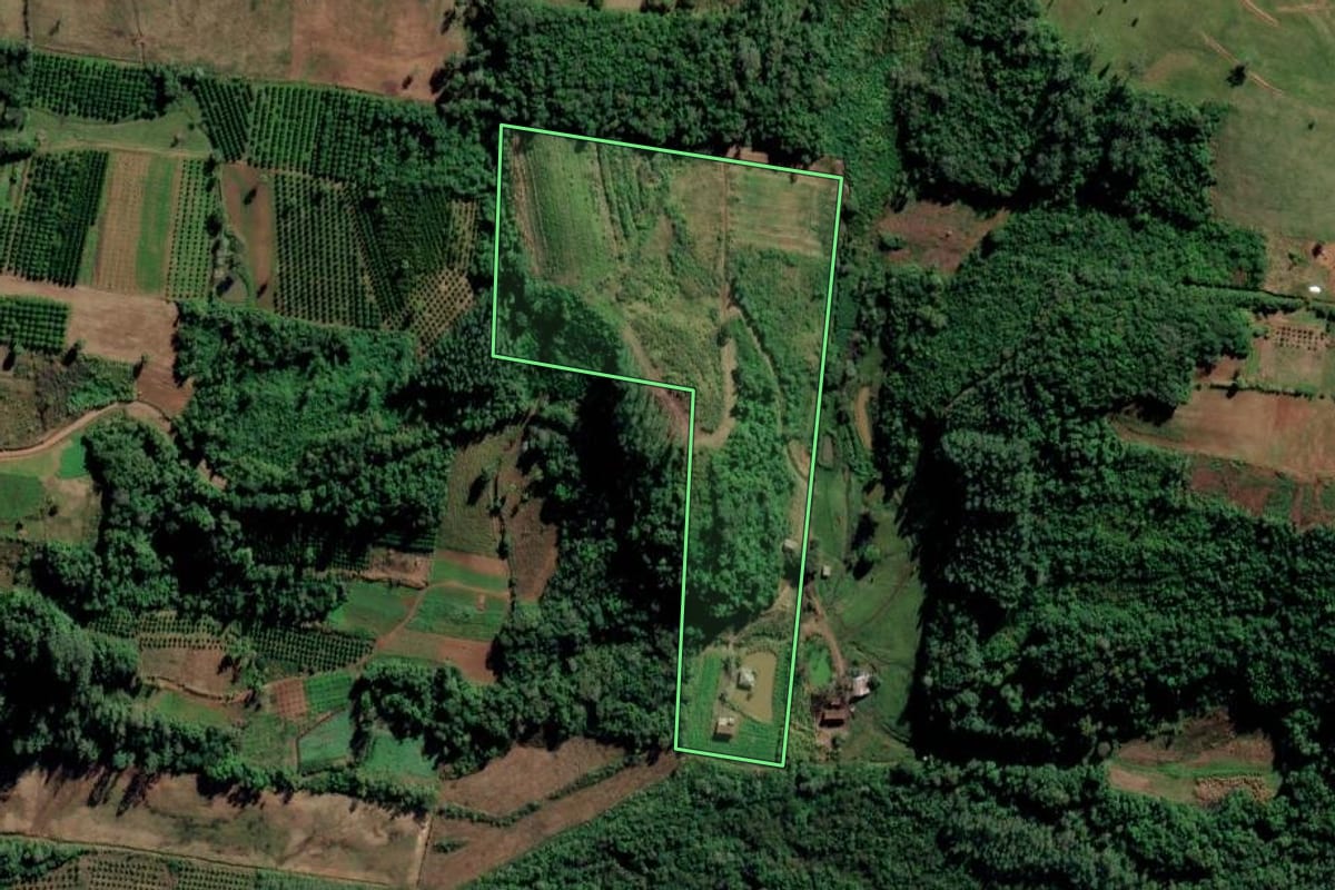 Imagem de satélite do imóvel rural em São José do Hortêncio (RS), com o contorno declarado no CAR desenhado por cima.