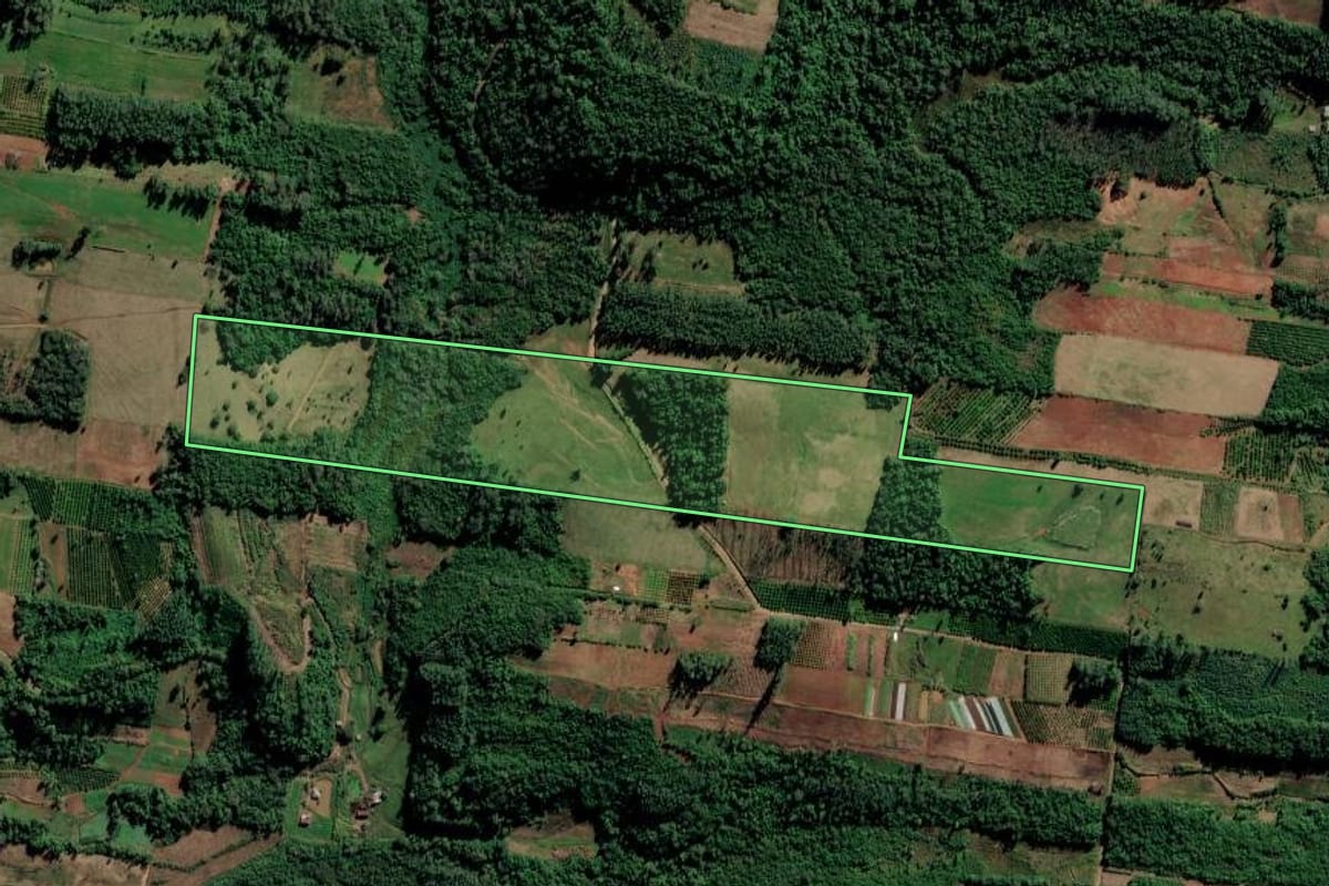 Imagem de satélite do imóvel rural em São José do Hortêncio (RS), com o contorno declarado no CAR desenhado por cima.