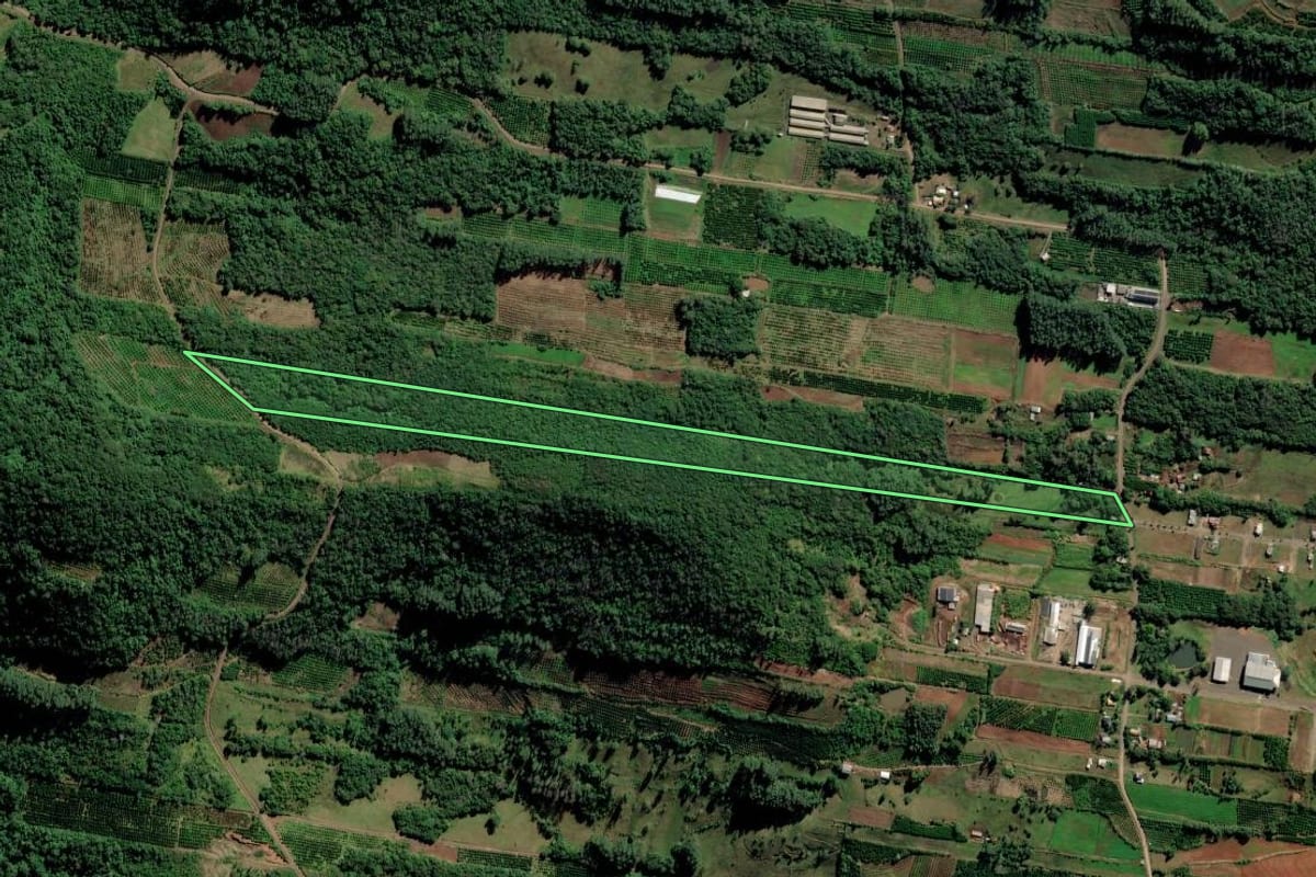 Imagem de satélite do imóvel rural em São José do Hortêncio (RS), com o contorno declarado no CAR desenhado por cima.