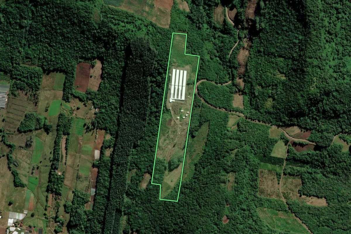 Imagem de satélite do imóvel rural em São José do Hortêncio (RS), com o contorno declarado no CAR desenhado por cima.