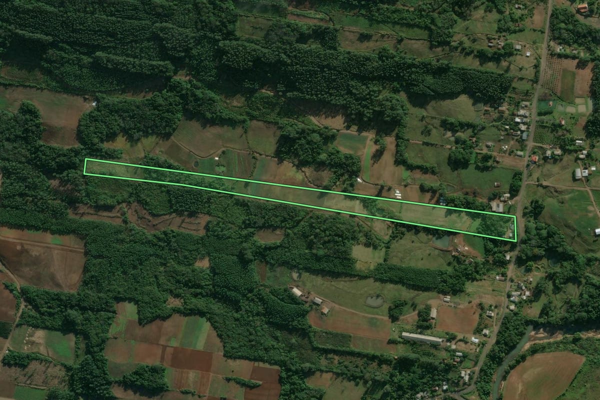 Imagem de satélite do imóvel rural em São José do Hortêncio (RS), com o contorno declarado no CAR desenhado por cima.