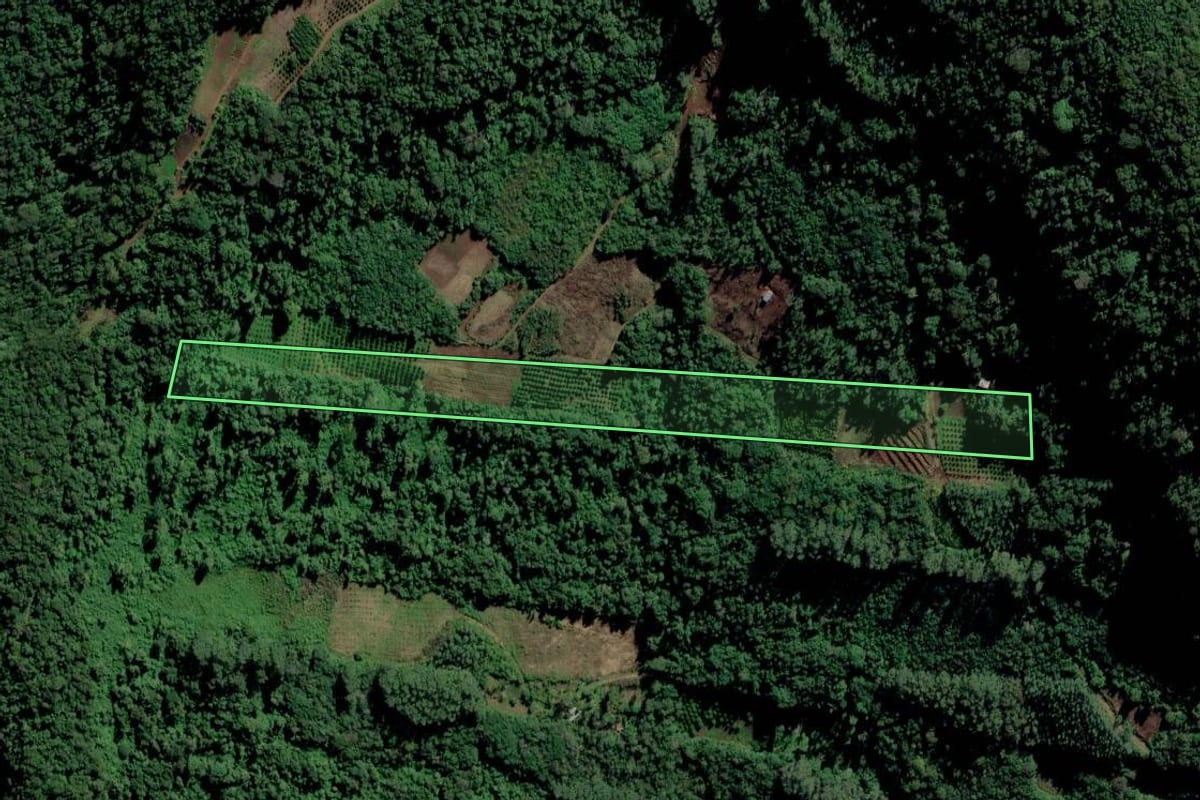 Imagem de satélite do imóvel rural em São José do Hortêncio (RS), com o contorno declarado no CAR desenhado por cima.