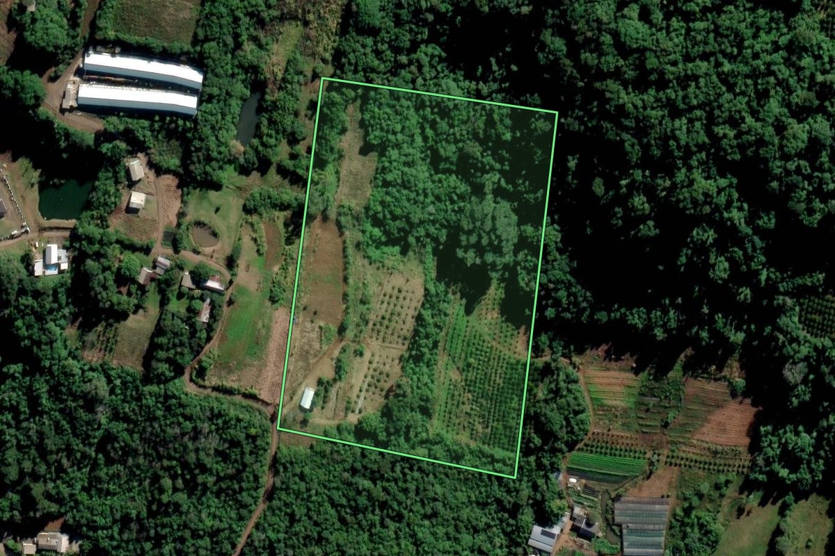 Imagem de satélite do imóvel rural em São José do Hortêncio (RS), com o contorno declarado no CAR desenhado por cima.