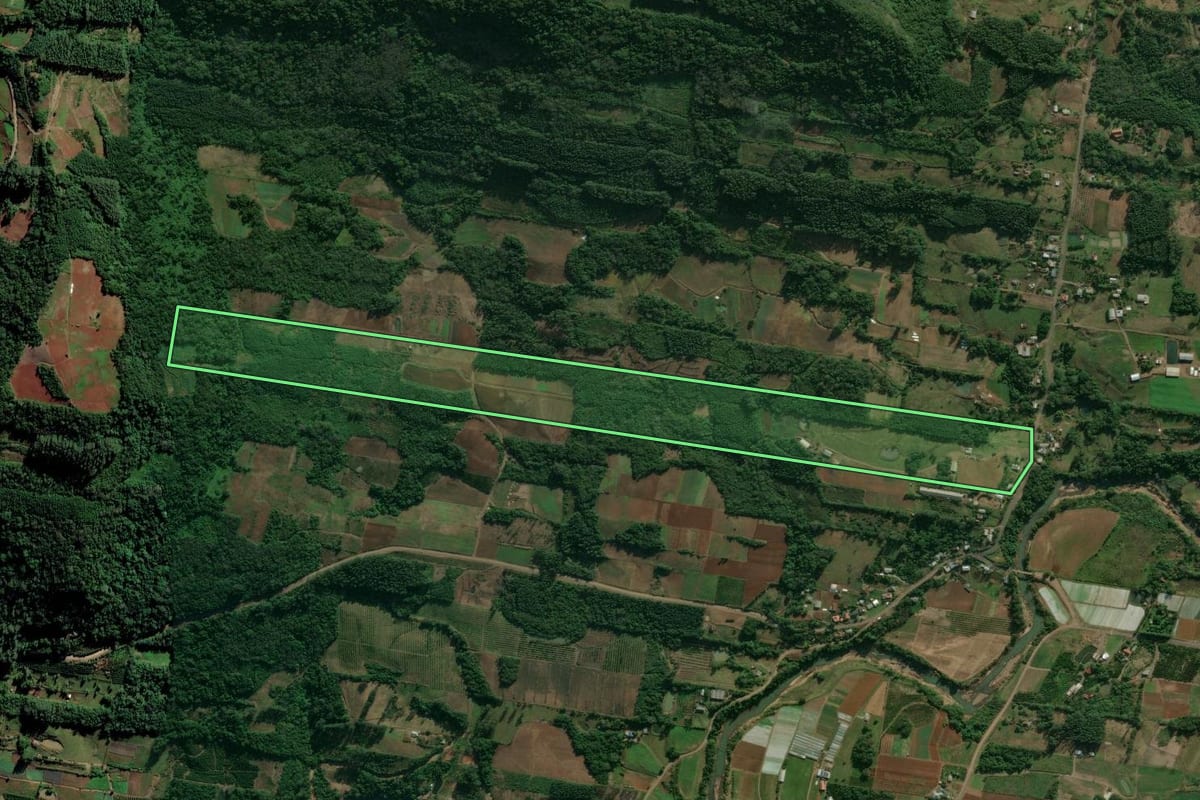 Imagem de satélite do imóvel rural em São José do Hortêncio (RS), com o contorno declarado no CAR desenhado por cima.