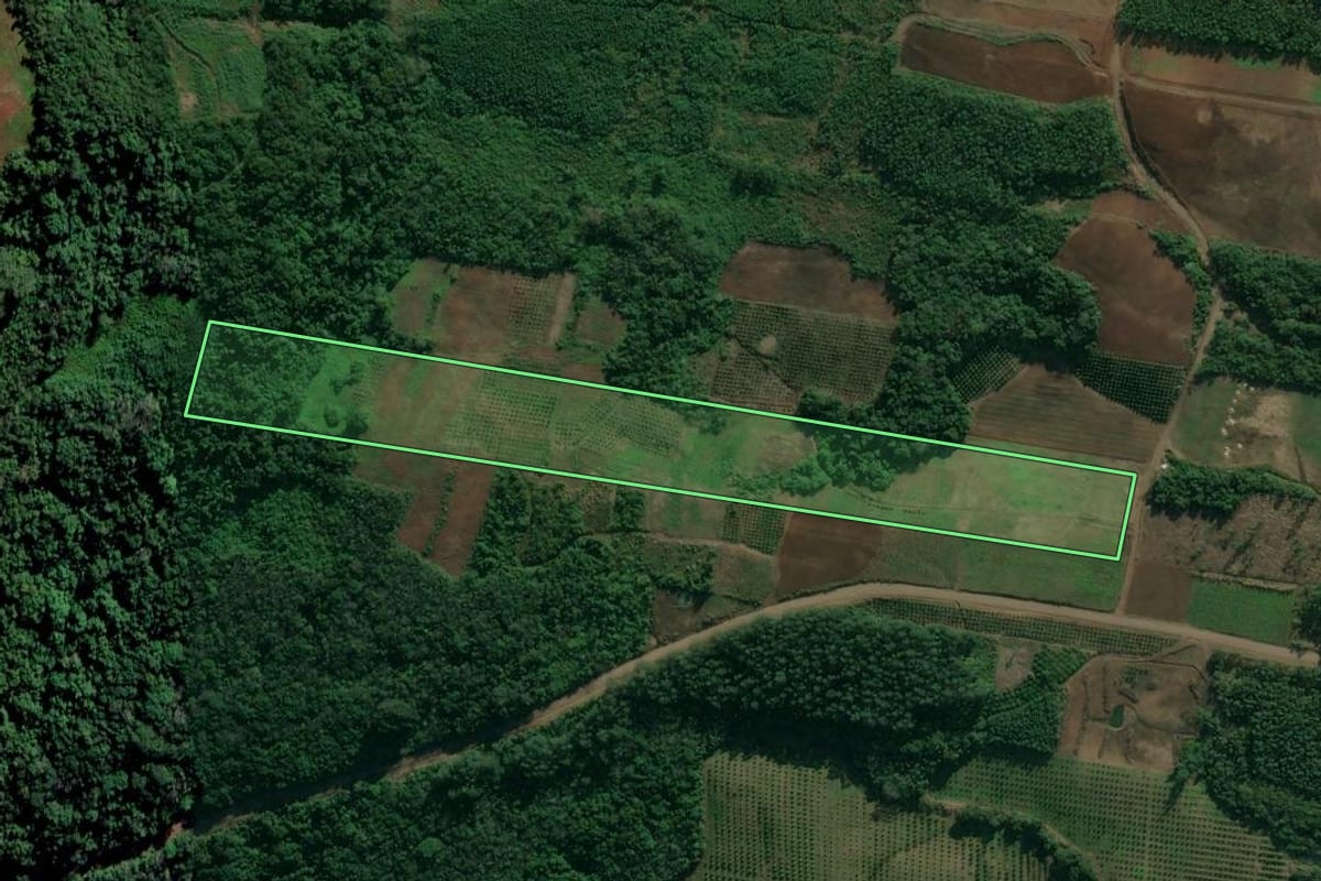 Imagem de satélite do imóvel rural em São José do Hortêncio (RS), com o contorno declarado no CAR desenhado por cima.