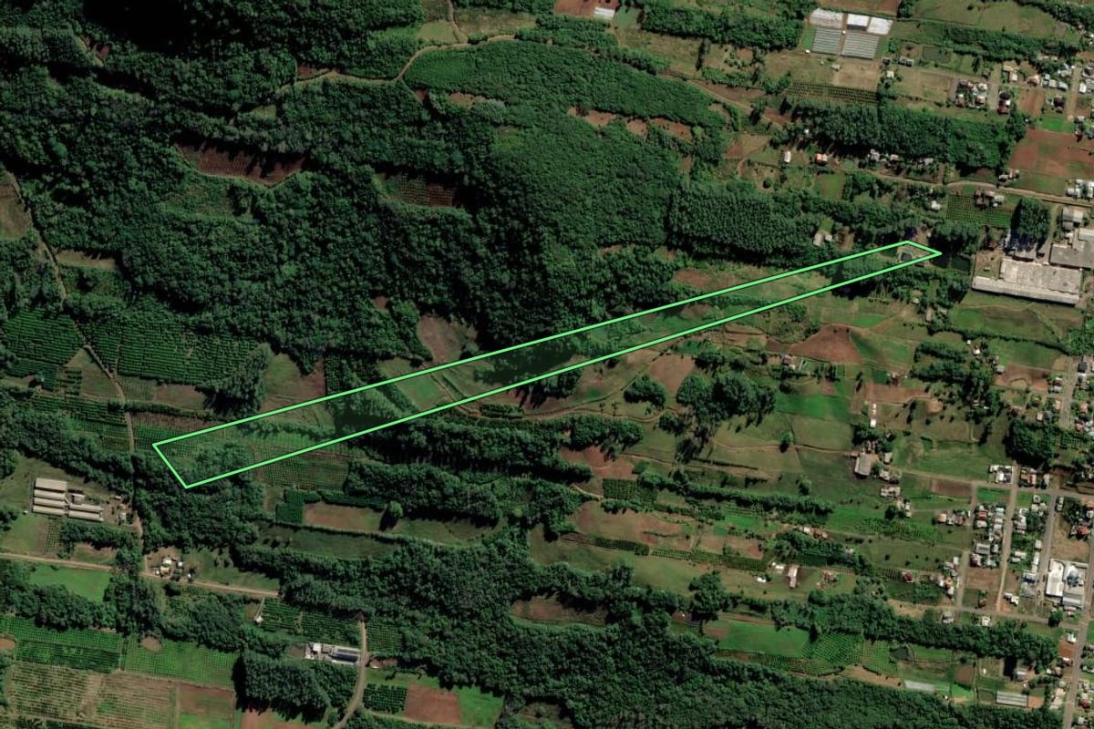 Imagem de satélite do imóvel rural em São José do Hortêncio (RS), com o contorno declarado no CAR desenhado por cima.