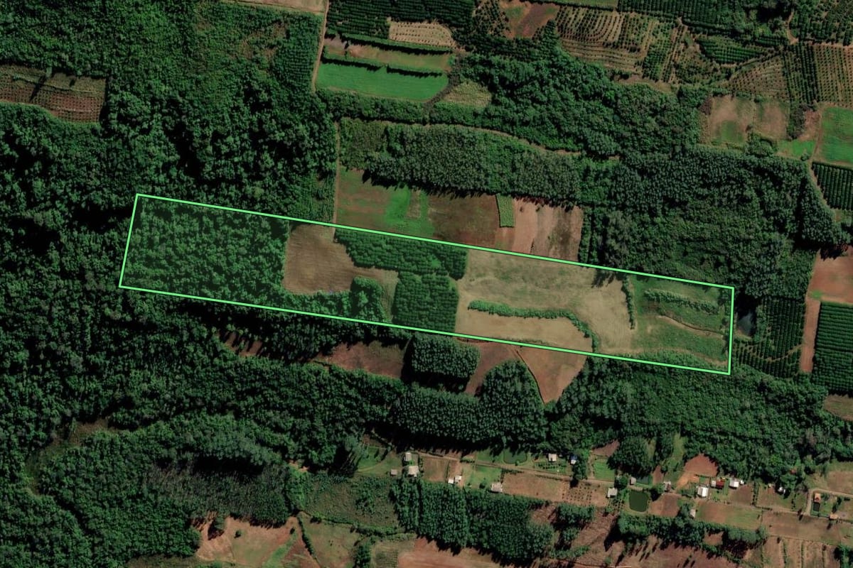 Imagem de satélite do imóvel rural em São José do Hortêncio (RS), com o contorno declarado no CAR desenhado por cima.
