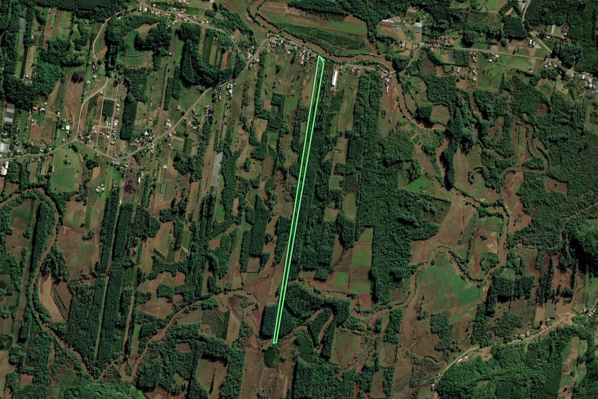 Imagem de satélite do imóvel rural em São José do Hortêncio (RS), com o contorno declarado no CAR desenhado por cima.