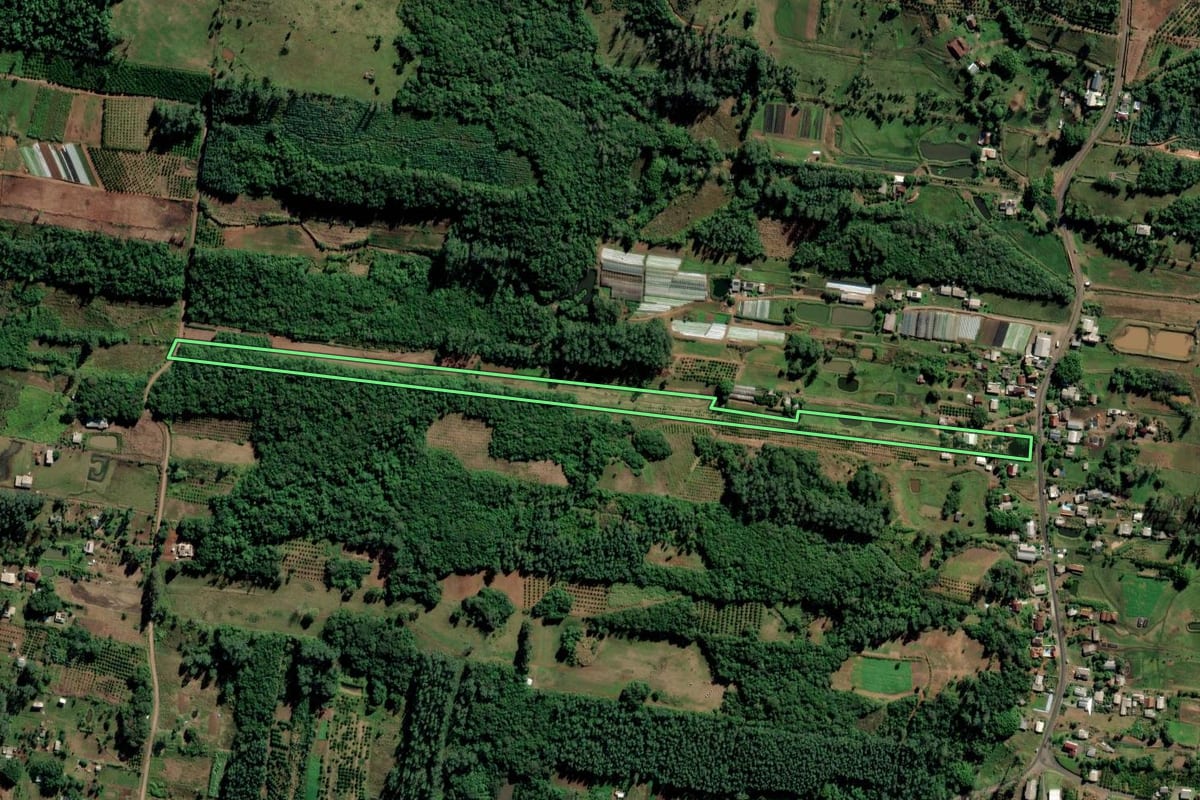 Imagem de satélite do imóvel rural em São José do Hortêncio (RS), com o contorno declarado no CAR desenhado por cima.