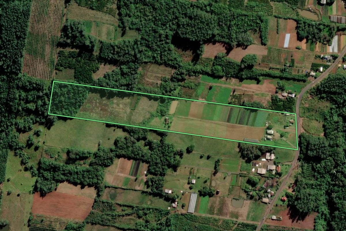 Imagem de satélite do imóvel rural em São José do Hortêncio (RS), com o contorno declarado no CAR desenhado por cima.