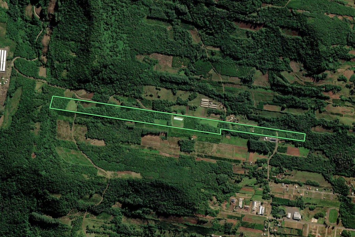 Imagem de satélite do imóvel rural em São José do Hortêncio (RS), com o contorno declarado no CAR desenhado por cima.