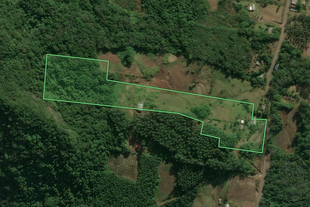Imagem de satélite do imóvel rural em São José do Hortêncio (RS), com o contorno declarado no CAR desenhado por cima.
