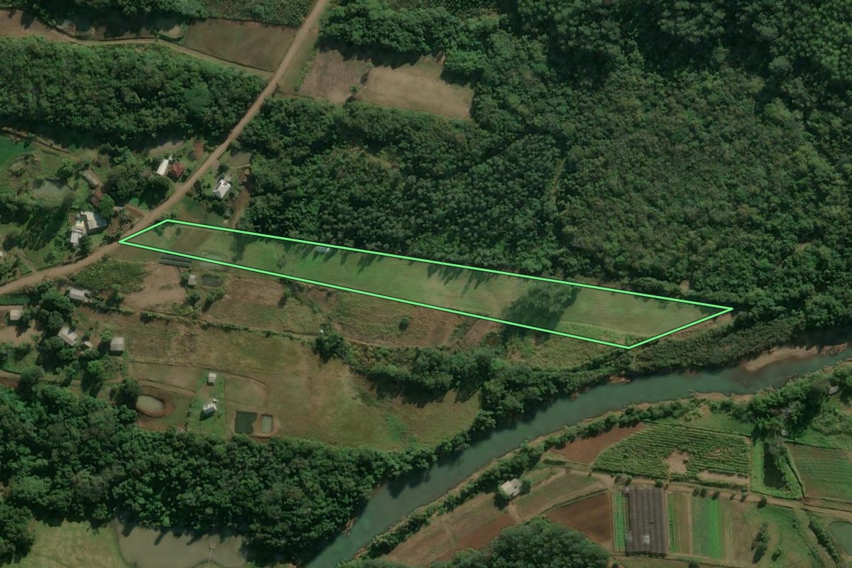 Imagem de satélite do imóvel rural em São José do Hortêncio (RS), com o contorno declarado no CAR desenhado por cima.