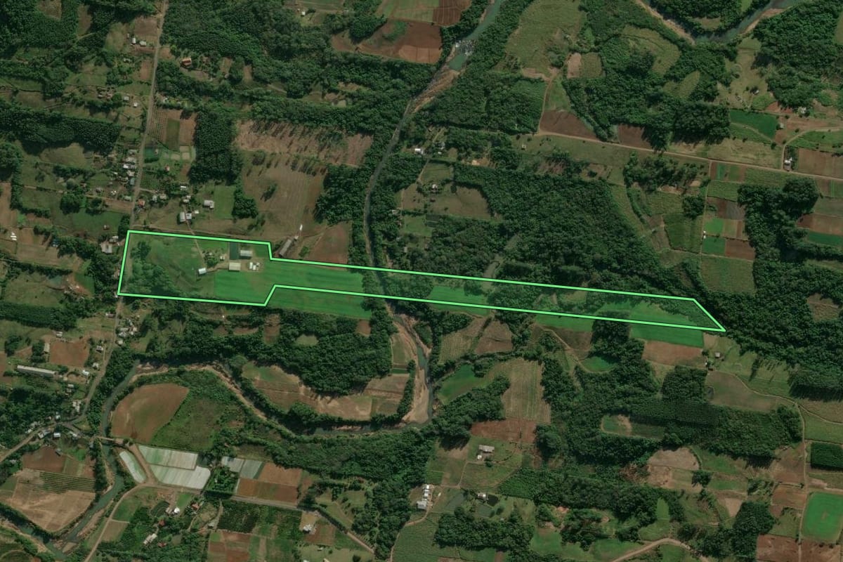 Imagem de satélite do imóvel rural em São José do Hortêncio (RS), com o contorno declarado no CAR desenhado por cima.