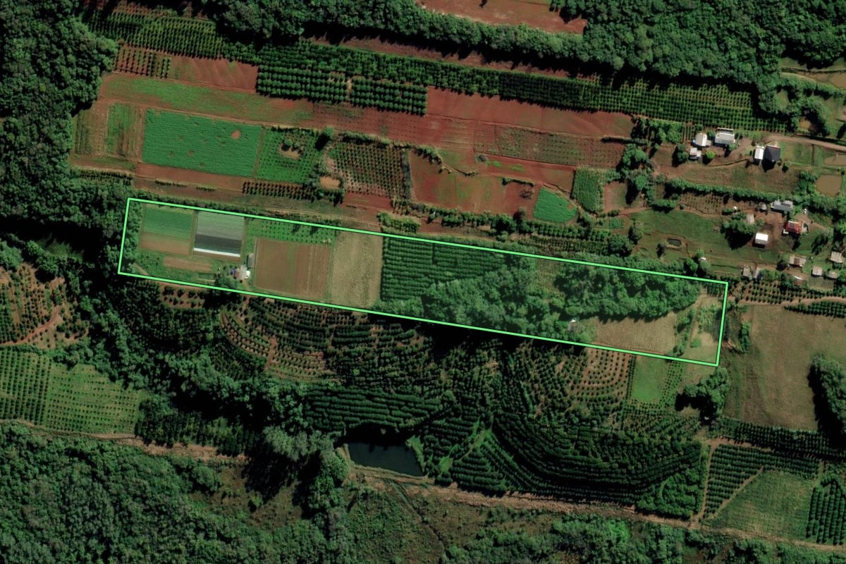 Imagem de satélite do imóvel rural em São José do Hortêncio (RS), com o contorno declarado no CAR desenhado por cima.
