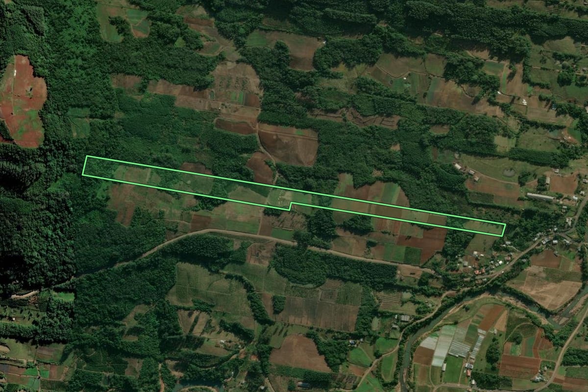 Imagem de satélite do imóvel rural em São José do Hortêncio (RS), com o contorno declarado no CAR desenhado por cima.