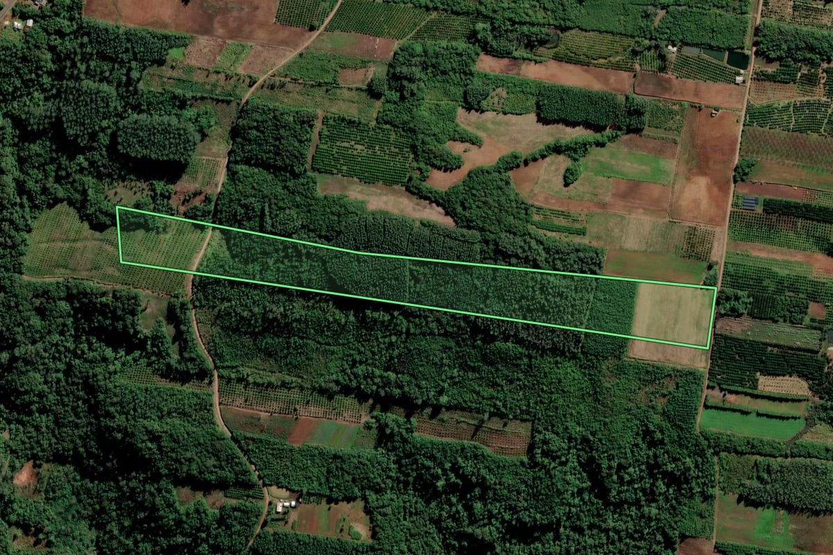 Imagem de satélite do imóvel rural em São José do Hortêncio (RS), com o contorno declarado no CAR desenhado por cima.