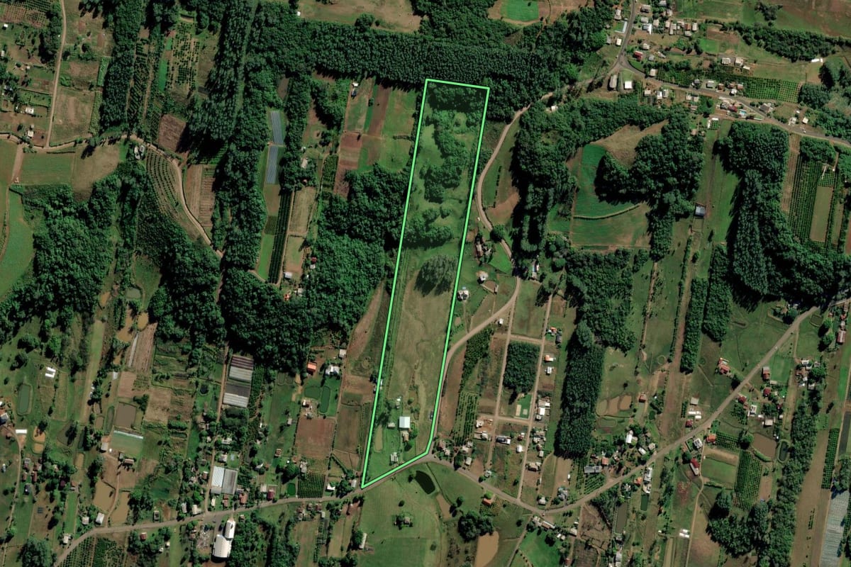 Imagem de satélite do imóvel rural em São José do Hortêncio (RS), com o contorno declarado no CAR desenhado por cima.