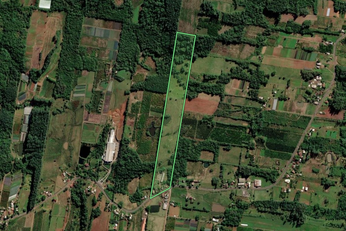 Imagem de satélite do imóvel rural em São José do Hortêncio (RS), com o contorno declarado no CAR desenhado por cima.