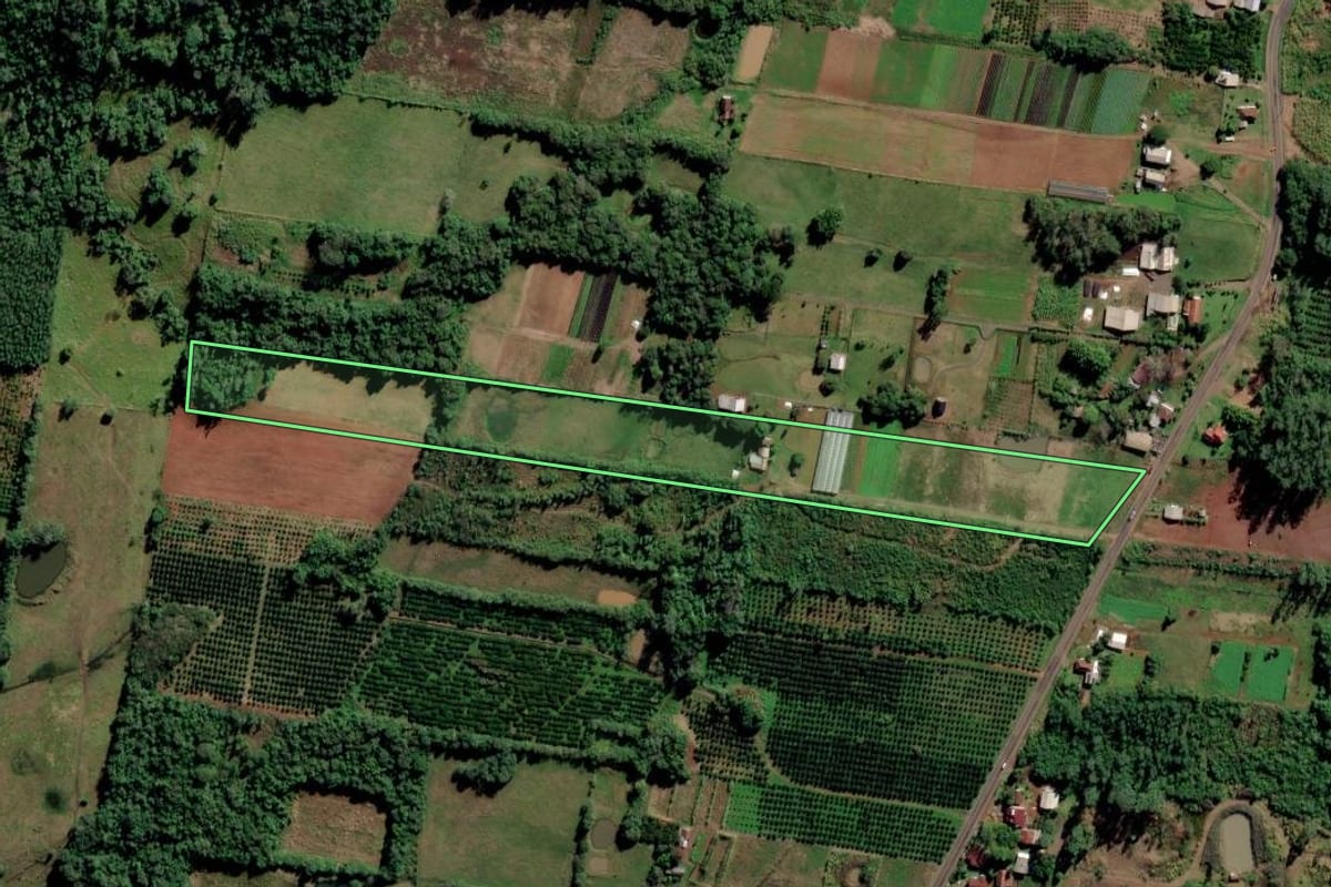 Imagem de satélite do imóvel rural em São José do Hortêncio (RS), com o contorno declarado no CAR desenhado por cima.
