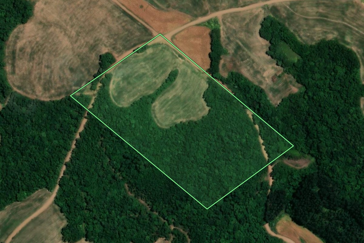 Imagem de satélite do imóvel rural em São José do Inhacorá (RS), com o contorno declarado no CAR desenhado por cima.