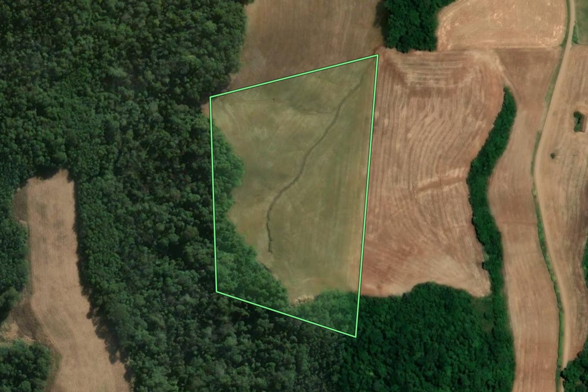 Imagem de satélite do imóvel rural em São José do Inhacorá (RS), com o contorno declarado no CAR desenhado por cima.
