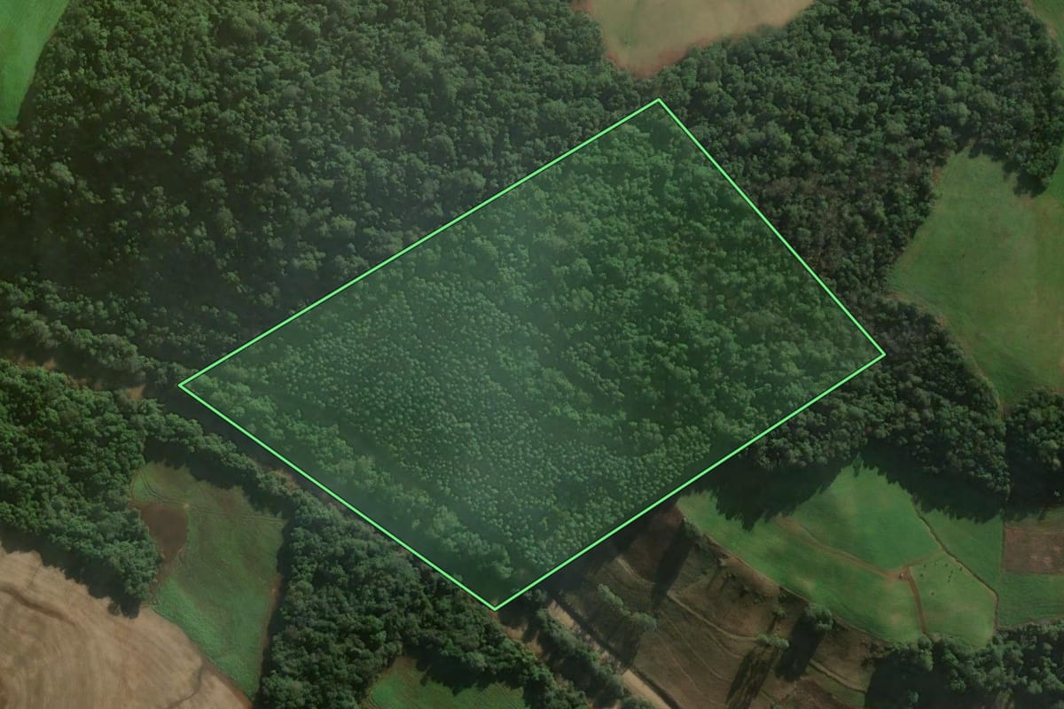 Imagem de satélite do imóvel rural em São José do Inhacorá (RS), com o contorno declarado no CAR desenhado por cima.