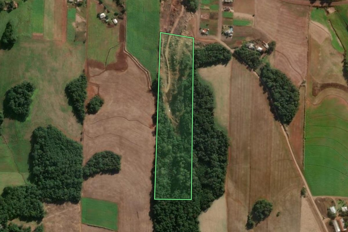 Imagem de satélite do imóvel rural em São José do Inhacorá (RS), com o contorno declarado no CAR desenhado por cima.