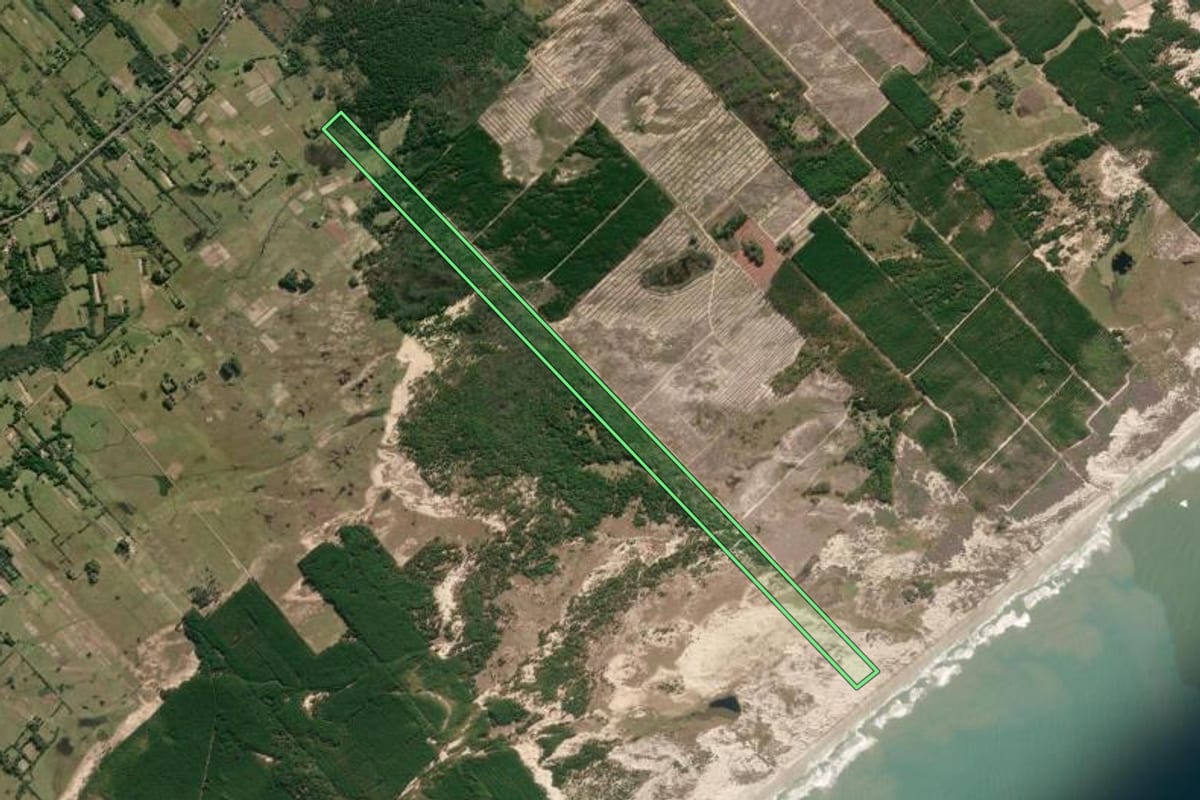 Imagem de satélite do imóvel rural em São José do Norte (RS), com o contorno declarado no CAR desenhado por cima.