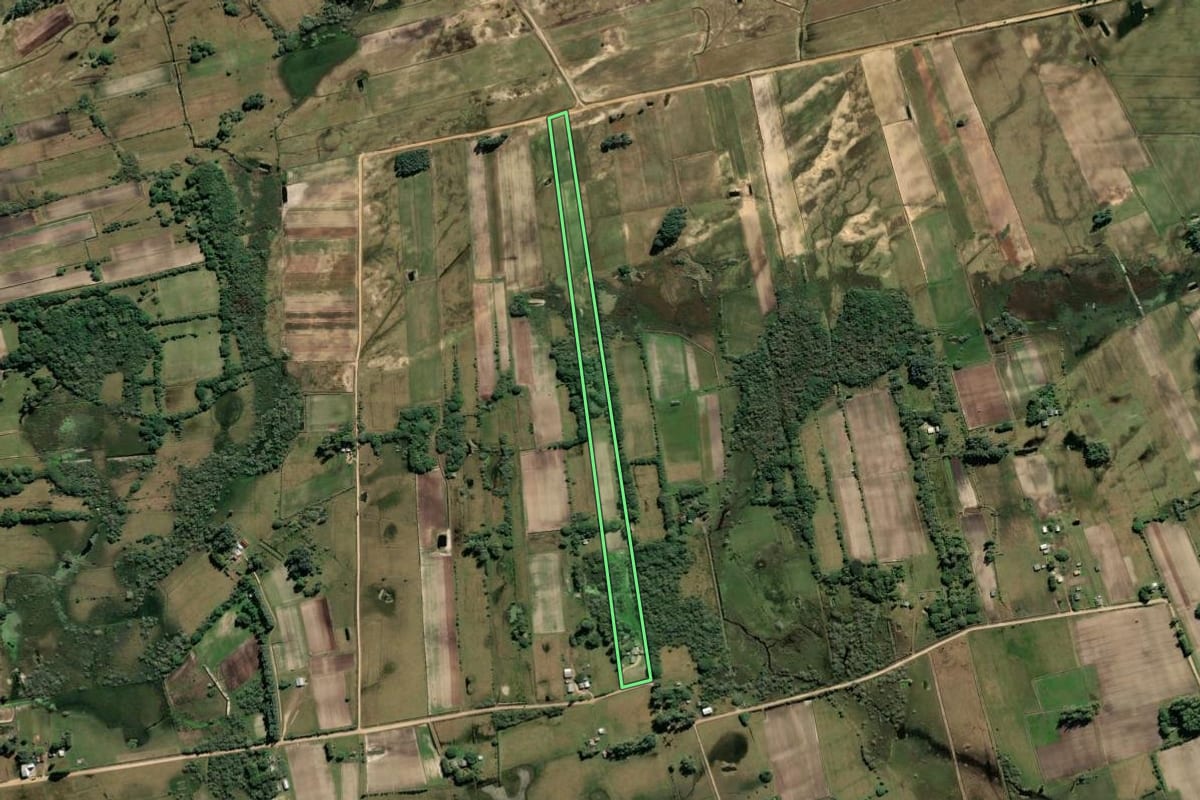 Imagem de satélite do imóvel rural em São José do Norte (RS), com o contorno declarado no CAR desenhado por cima.