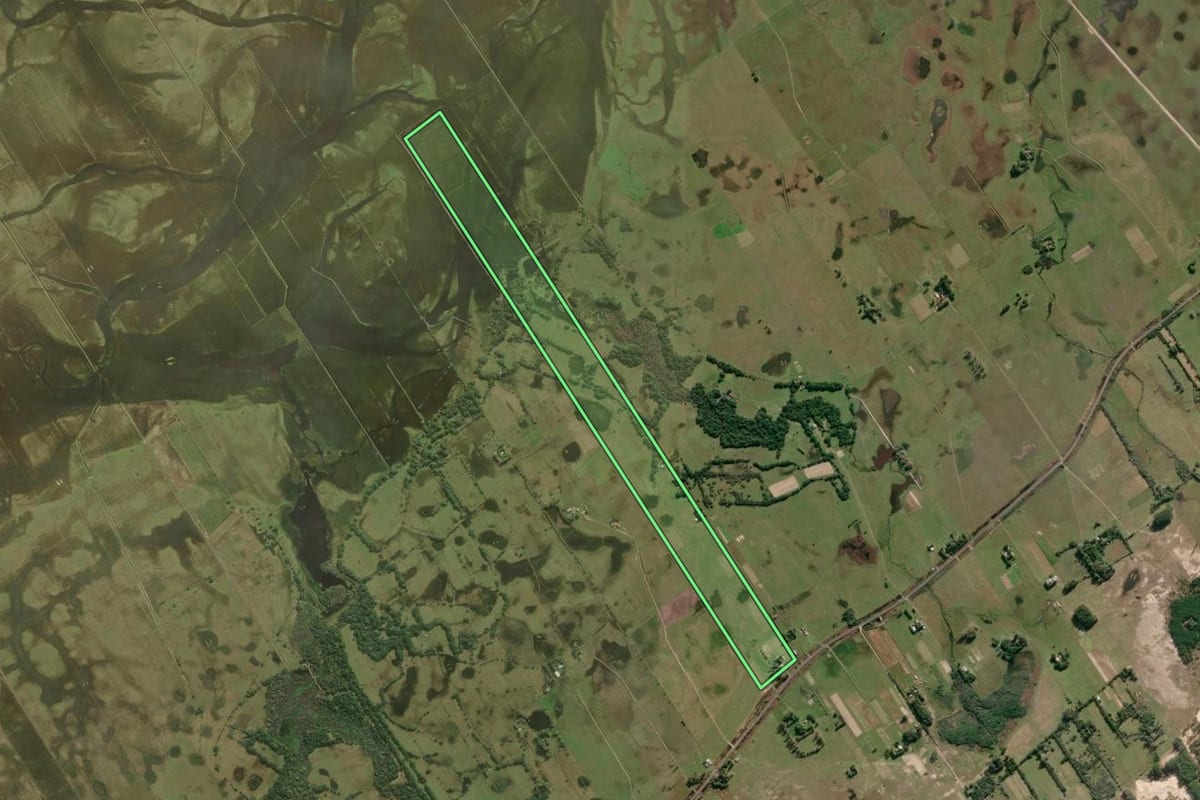 Imagem de satélite do imóvel rural em São José do Norte (RS), com o contorno declarado no CAR desenhado por cima.
