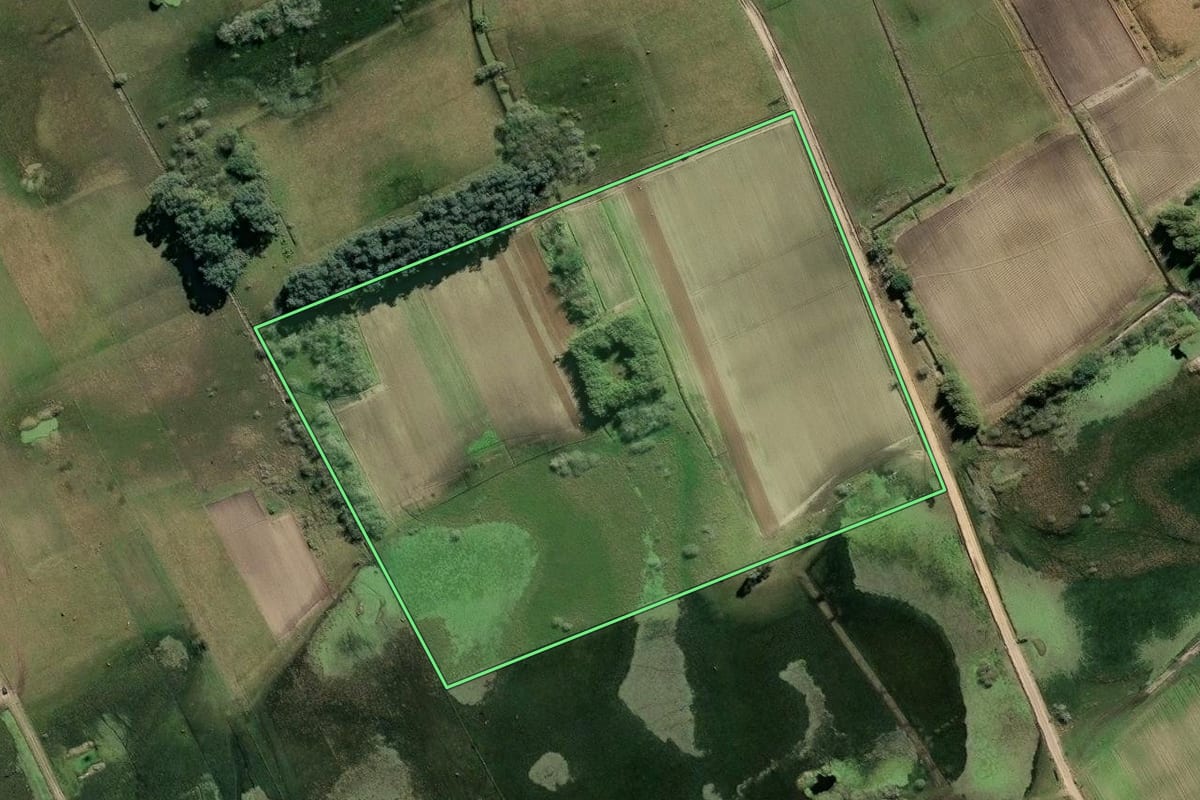 Imagem de satélite do imóvel rural em São José do Norte (RS), com o contorno declarado no CAR desenhado por cima.