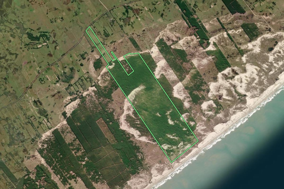 Imagem de satélite do imóvel rural em São José do Norte (RS), com o contorno declarado no CAR desenhado por cima.