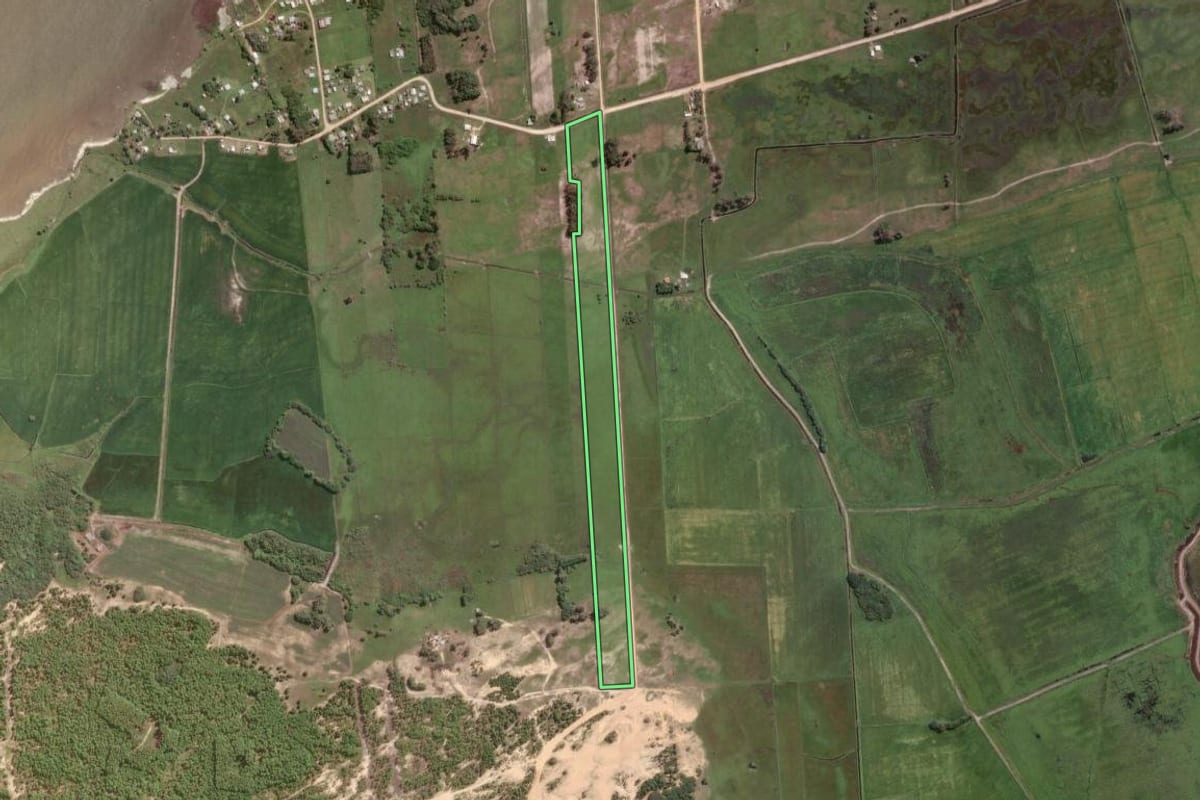 Imagem de satélite do imóvel rural em São José do Norte (RS), com o contorno declarado no CAR desenhado por cima.