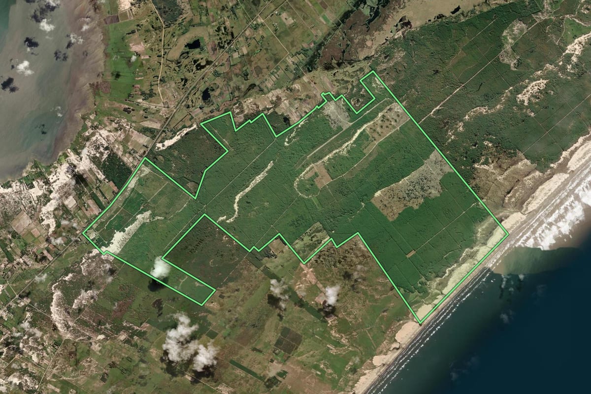 Imagem de satélite do imóvel rural em São José do Norte (RS), com o contorno declarado no CAR desenhado por cima.