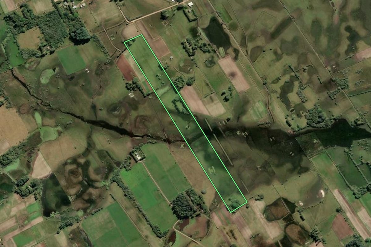 Imagem de satélite do imóvel rural em São José do Norte (RS), com o contorno declarado no CAR desenhado por cima.
