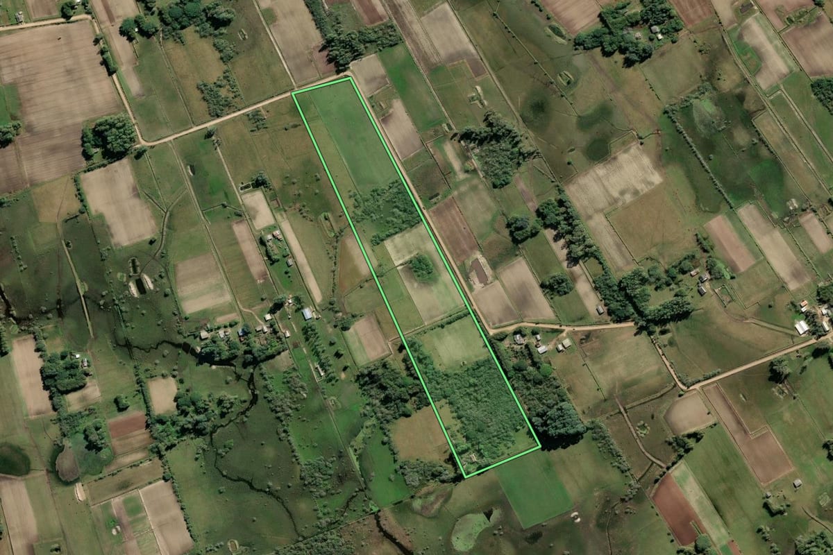 Imagem de satélite do imóvel rural em São José do Norte (RS), com o contorno declarado no CAR desenhado por cima.